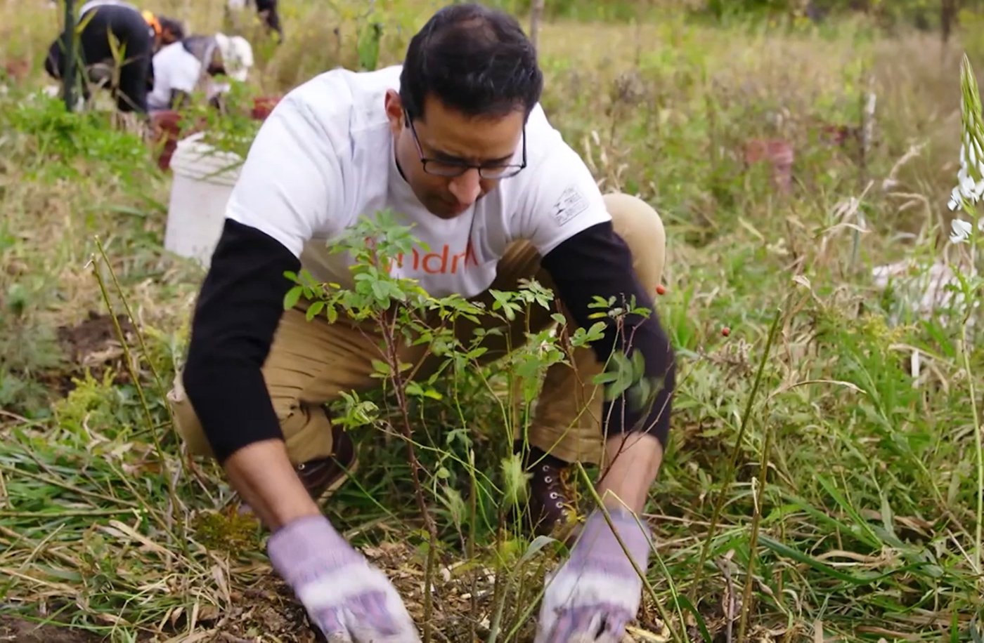 Kyndryl employee planting trees